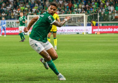 Sao Paulo (sp), Brezilya 21 / 07 / 2025 Kolombiyalı oyuncu Richard Rios 'un 16 Temmuz 2025' te Palmeiras 'ta oynadığı son maç (leco viana / theenews2)