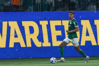 Sao Paulo (sp), Brezilya 21 / 07 / 2025 Kolombiyalı oyuncu Richard Rios 'un 16 Temmuz 2025' te Palmeiras 'ta oynadığı son maç (leco viana / theenews2)