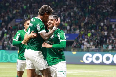 Sao Paulo (sp), Brezilya 21 / 07 / 2025 Kolombiyalı oyuncu Richard Rios 'un 16 Temmuz 2025' te Palmeiras 'ta oynadığı son maç (leco viana / theenews2)