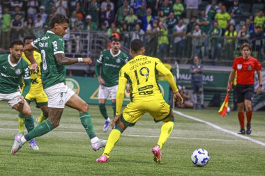 Sao Paulo (sp), Brezilya 21 / 07 / 2025 Kolombiyalı oyuncu Richard Rios 'un 16 Temmuz 2025' te Palmeiras 'ta oynadığı son maç (leco viana / theenews2)