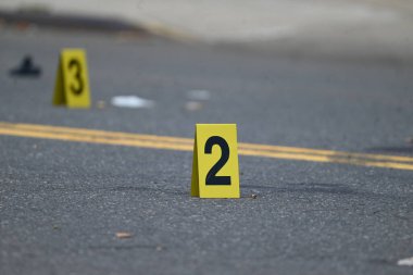 New York Polis Departmanı olay yeri inceleme ekipleri olay yerinde bulunan kovanları işaretleyen kanıt işaretleri ve bir telefon yerleştirdiler. Ayrıca çifte cinayet mahallinde park etmiş bir aracın yanına da bir delil işareti yerleştirildi. (Kyle Mazza / the Newws2)