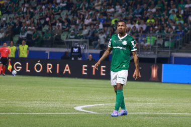 Sao paulo (sp), Brazil 08 / 21 / 2025 - Palmeiras ve universitario (per) arasındaki maç sırasında, conmebol libertadores l (leco viana / thenews2)