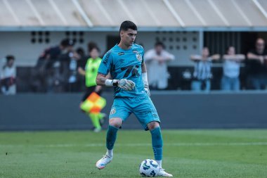 Santos (SP), 08 / 31 / 2025 - Brezilya / Santos vs Fluminense - Brezilya Şampiyonası Serisi A 'nın 22. turu için Santos ve Fluminense arasındaki maç, Urbano Caldeira Stadyumu' nda. (pedro paulo diaz\ yeni2)