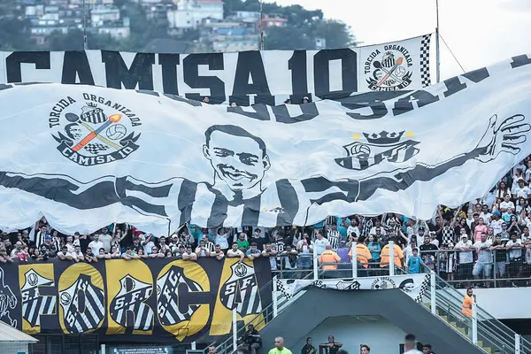 Santos (SP), 08 / 31 / 2025 - Brezilyalı / Santos vs Fluminense - Santos ve Fluminense arasında Urbano Caldeira Stadyumu (Vila Belmiro) 'nda oynanan Brezilya Şampiyonası Serisi A' nın 22. (pedro paulo diaz\ yeni2)