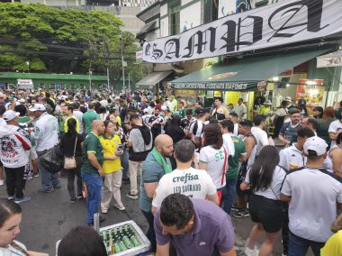 Sao Paulo (SP), 10 / 01 / 2025 - Palmeiras ve Vasco taraftar hareketinin Brezilya futbol şampiyonasının 26 'ncı turu öncesinde Palmeiras ve Vasco arasında oynanan maçtan önce kutlaması var. (leco viana\ yeni2))     