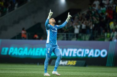Sao Paulo (SP), 10 / 01 / 2025 - Brasileirao / Palmeiras vs Vasco - Palmeiras ve Vasco arasındaki maçta Brezilya Futbol Şampiyonası 'nın 26. (ronaldo barre to\ the new 2)