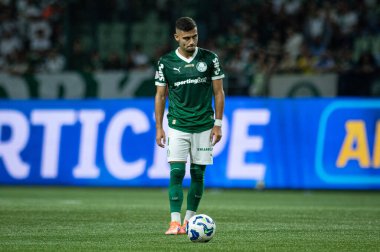 Sao Paulo (SP), 10 / 01 / 2025 - Brasileirao / Palmeiras - Andreas Pereira ile Brezilya Futbol Şampiyonası 'nın 26. (ronaldo barre to\ the new 2)