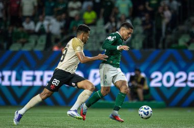 Sao Paulo (SP), 10 / 01 / 2025 - Brasileirao / Palmeiras vs Vasco - Brezilya futbol şampiyonasının 26. (ronaldo barre to\ the new 2)