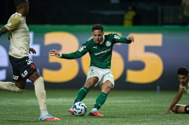 Sao Paulo (SP), 10 / 01 / 2025 - Brasileirao / Palmeiras vs Vasco - Vitor Roque, Brezilya Futbol Şampiyonası 'nın 26. (ronaldo barre to\ the new 2)