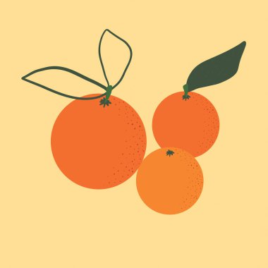 Turuncu mandalina vektör minimalizmi
