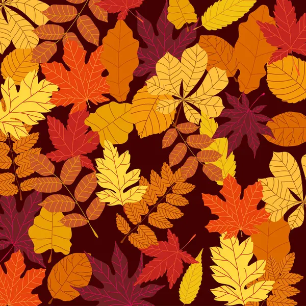 Sonbahar yapraklı vektör arkaplan, sarı ve kırmızı renkli yapraklar. Kusursuz arkaplan