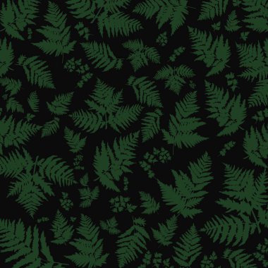 Yeşil eğrelti otu yapraklı, kusursuz siyah arkaplan