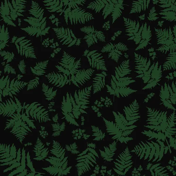 Yeşil eğrelti otu yapraklı, kusursuz siyah arkaplan