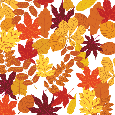 Kusursuz bir illüstrasyon, parlak renklerde yapraklar ve bitkilerin görüntüsü, şeffaf arkaplan