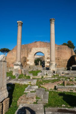 Roma Forumu 'nun manzarası, Palatine Hill. Kolezyum bölgesi. Roma, İtalya
