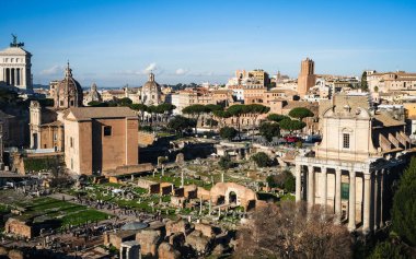 Roma Forumu ve İtalya 'nın başkenti Roma' daki ikonik UNESCO Dünya Mirası sahası Palatine Hill 'i keşfedin. Etrafı antik harabeler, sütunlar ve İtalyan çamlarıyla çevrili.
