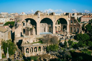 Roma Forumu ve İtalya 'nın başkenti Roma' daki ikonik UNESCO Dünya Mirası sahası Palatine Hill 'i keşfedin. Etrafı antik harabeler, sütunlar ve İtalyan çamlarıyla çevrili.