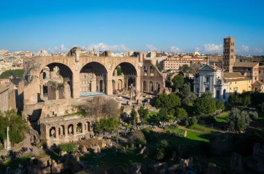 Roma Forumu 'nun manzarası, Palatine Hill. Kolezyum bölgesi. Roma, İtalya