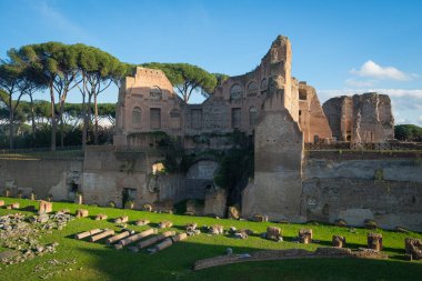 Roma Forumu 'nun manzarası, Palatine Hill. Kolezyum bölgesi. Roma, İtalya