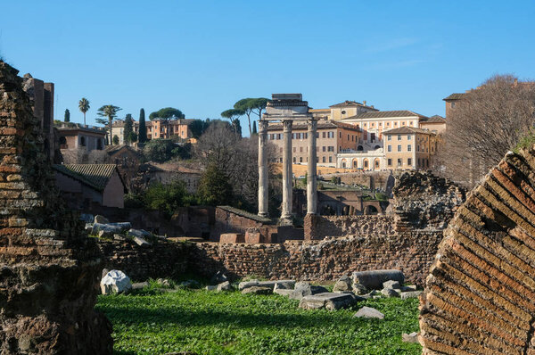 Explore the breathtaking Roman Forum and Palatine Hill, an iconic UNESCO World Heritage site in Rome, Italy. Surrounded by ancient ruins, columns, and Italian pines