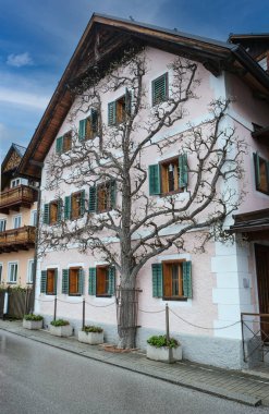 Hallstatt 'ü keşfedin, Alpler' e kurulmuş güzel bir Avusturya köyü. Bu resim eşsiz mimarisini ve nefes kesici doğal çevresini güzel bir göl ve görkemli dağlarıyla vurgular.