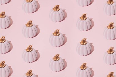 Pembe pastel arka planda pembe balkabağı. Desen.