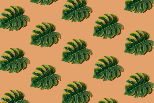 Liście Palmy Ułożone Brązowym Tle — Zdjęcie stockowe