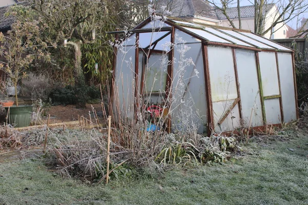 Winter landscape garden greenhouse the old glass wood abandoned building frozen in heavy white frost with misty broken opaque pane, icy lawn plants trees season frosty weather grey sky in England uk