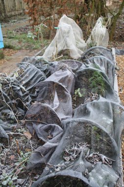 Bahçe Kış manzarası, donmuş buzla kaplı organik sebze bahçesinde, saat ağları bembeyaz, donmuş buzla kaplı bitkiler, sert buzlu toprak ve çakıllı yollar. 