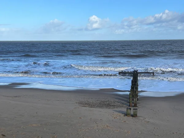 앵글리아의 해안의 모래와바 다를가로지르는 아름다운 나무를 감상하며 해변에서 바라보는 과하얀 — 스톡 사진