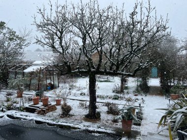 Donmuş kır bahçesinin kış manzarası. Taş verandanın üzerinde beyaz kar tabakası çimen çimenleri ve espalier armut ağacı, sera, buzla kaplı saksı balığı havuzu.