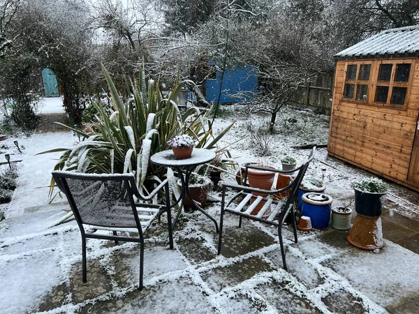 Snowfall landscape of Winter garden with layer of snow over stone patio, grass lawns,  with garden furniture, espalier tree, wood shed and plants and paths in frozen icy environment