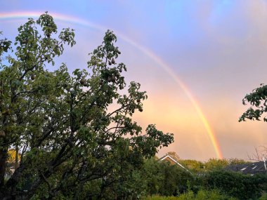 Gün batımında gökyüzünde gökkuşağı organik şehir bahçesindeki armut ağaçlarının üzerinde Norfolk kırsalında ağaçlar ve arka plandaki evlerin çatı katları ile yaz akşamları açık mavi pembe gökyüzü sakin 