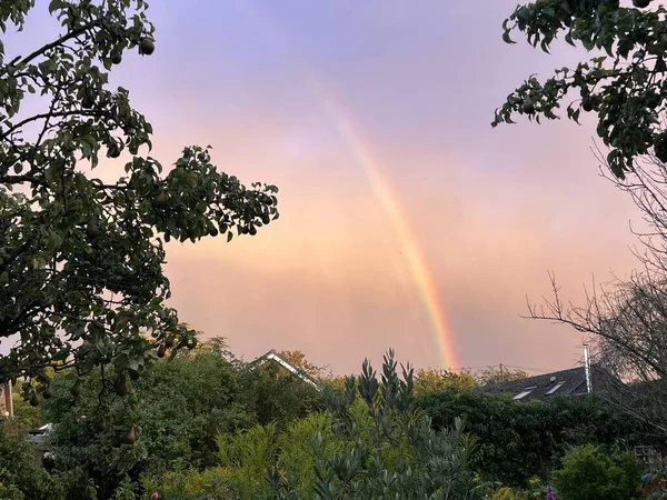 Regenbogen Den Himmel Bei Sonnenuntergang Über Birnbäumen Bio Stadtgarten Ländlichen — Stockfoto