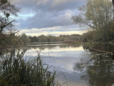 Gün batımının güzel manzarası sakin bir sonbahar akşamında Norfolk kadınları çarpıcı renkli gökyüzü ağaçları gökyüzü çalıları gökyüzü renkleri ve bitkilerin yansıttığı su ile birlikte