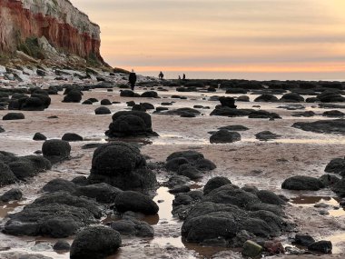 Beautiful sunset beach landscape of jurassic cliff sandy beach at Hunstanton Norfolk uk in early evening light low sun in colourful sky reflected on the rocky sand shore by sea ocean in Spring clipart
