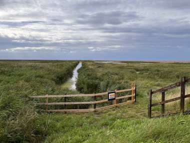 Güzel doğa manzarası, çitlerle çevrili, kuşları gözetliyor bataklıktaki vahşi yaşam gölleri, Cley 'deki okyanus kıyıları, Norfolk Denizi, Doğu Anglia Birleşik Devletleri yaz günü su gölünün yanında çim biçiyor. 