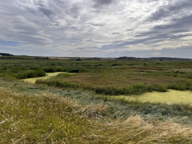 Güzel doğa manzarası kuşların izlediği bataklık göllerindeki vahşi yaşam göllerini Cley 'de okyanus kıyısında Norfolk Denizi' nin yanında Doğu Anglia, yaz günü mavi bulutlu gökyüzünde su gölünde çimen biçer.