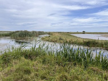 Güzel doğa manzarası kuşların izlediği bataklık göllerindeki vahşi yaşam göllerini Cley 'de okyanus kıyısında Norfolk Denizi' nin yanında Doğu Anglia, yaz günü mavi bulutlu gökyüzünde su gölünde çimen biçer.