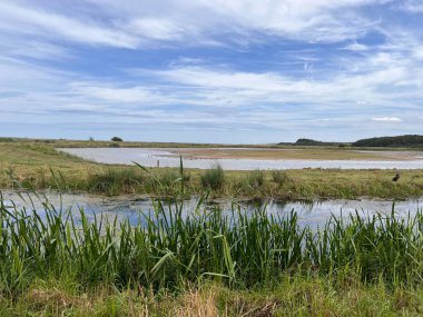 Güzel doğa manzarası kuşların izlediği bataklık göllerindeki vahşi yaşam göllerini Cley 'de okyanus kıyısında Norfolk Denizi' nin yanında Doğu Anglia Birleşik Devletleri yaz günü mavi bulutlu gökyüzünde ön planda çimenler var.