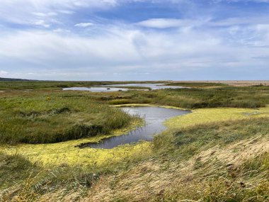 Güzel doğa manzarası kuşların izlediği bataklık göllerindeki vahşi yaşam göllerini Cley 'de okyanus kıyısında Norfolk Denizi' nin yanında Doğu Anglia Birleşik Devletleri yaz günü mavi bulutlu gökyüzünde ön planda çimenler var.