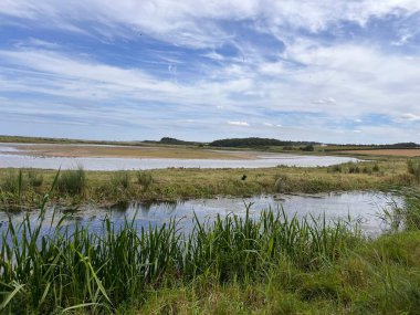 Güzel doğa manzarası kuşların izlediği bataklık göllerindeki vahşi yaşam göllerini Cley 'de okyanus kıyısında Norfolk Denizi' nin yanında Doğu Anglia Birleşik Devletleri yaz günü mavi bulutlu gökyüzünde ön planda çimenler var.
