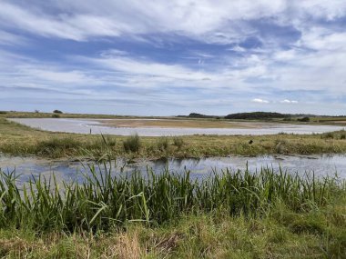Güzel doğa manzarası kuşların izlediği bataklık göllerindeki vahşi yaşam göllerini Cley 'de okyanus kıyısında Norfolk Denizi' nin yanında Doğu Anglia Birleşik Devletleri yaz günü mavi bulutlu gökyüzünde ön planda çimenler var.
