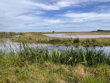 Güzel doğa manzarası kuşların izlediği bataklık göllerindeki vahşi yaşam göllerini Cley 'de okyanus kıyısında Norfolk Denizi' nin yanında Doğu Anglia Birleşik Devletleri yaz günü mavi bulutlu gökyüzünde ön planda çimenler var.
