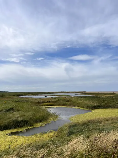 Güzel doğa manzarası kuşların izlediği bataklık göllerindeki vahşi yaşam göllerini Cley 'de okyanus kıyısında Norfolk Denizi' nin yanında Doğu Anglia, yaz günü mavi bulutlu gökyüzünde su gölünde çimen biçer.