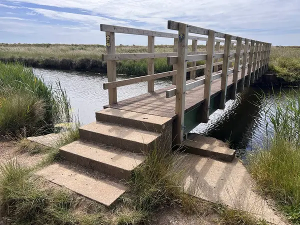 Deniz kenarı ahşap köprüsünün manzarası bataklık doğa koruma alanı üzerinden Walberswick yakınlarındaki Walberswick 'teki taşlı plaja kadar uzanır Doğu Suffolk kıyılarında, sazlıkların üzerindeki kum tepeleri üzerinde.