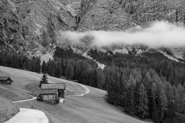 Doğa Parkı 'nda yürüyüş yapmak Dolomite Alplerinde Sennes Prags, İtalya' da Güney Tirol 'de