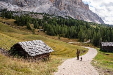 Fanes Sennes Prag Doğa Parkı 'ndaki Dolomite Alplerinde saman kulübesi olan tipik çayır, İtalya' daki Güney Tirol.