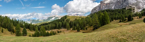 Spokojna Alpejska Łąka Parku Przyrody Fanes Sennes Prags Alpach Dolomitowych — Zdjęcie stockowe