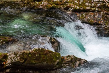 Slovenya 'nın Vintgar vadisinde akan vahşi nehir manzarası